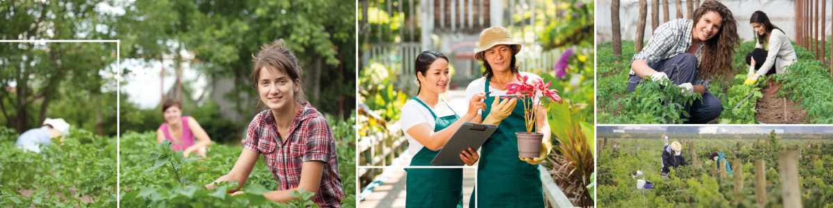 agriculture workers
